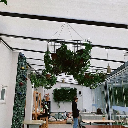 Wot Patio Social ליסבון