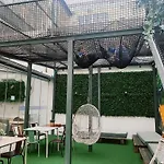 Wot Patio Social Ostello
