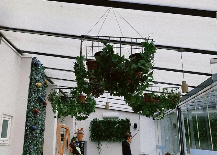 Wot Patio Social Lisbon